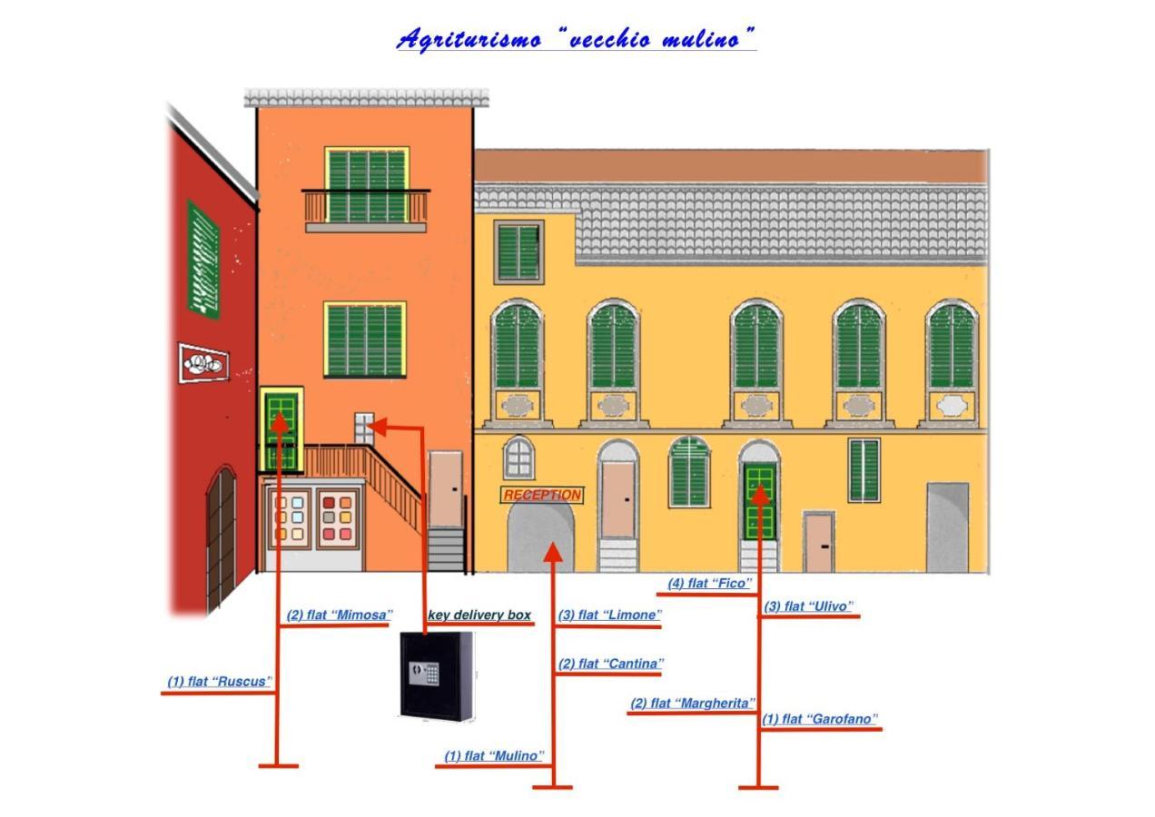 Agriturismo Il Vecchio Mulino Terzorio ภายนอก รูปภาพ